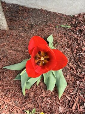 Meet your Posher